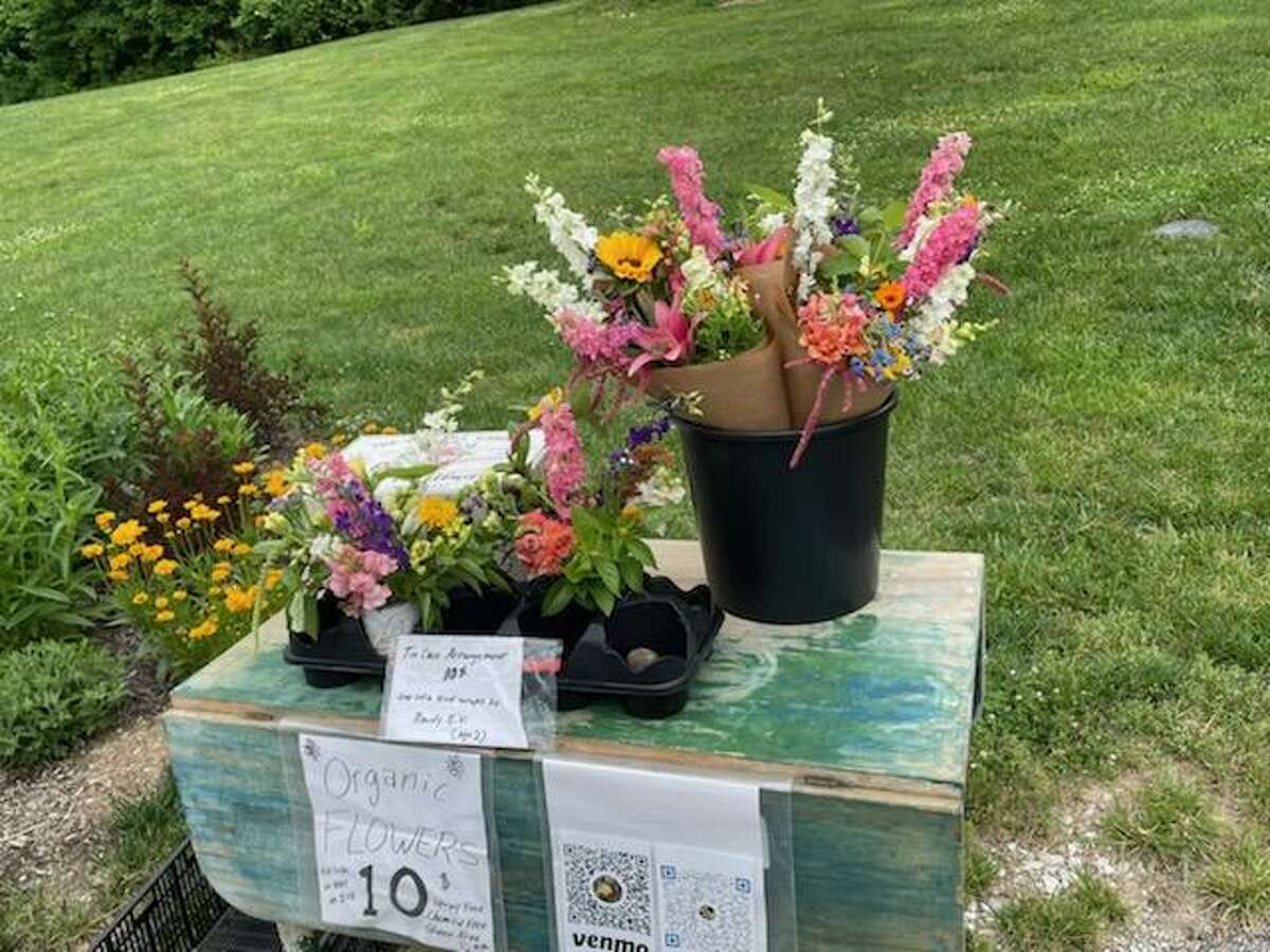 The Jypsy Hill Flowers flower stand is located at 1153 Frontage Road, Collinsville and is open on Sundays.  