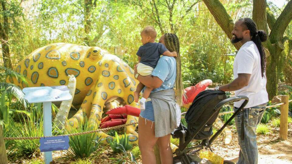 Houston Zoo Free Days When It Is Best Exhibits To See Zoo Hours Houston zoo free days when it is best exhibits to see zoo hours
