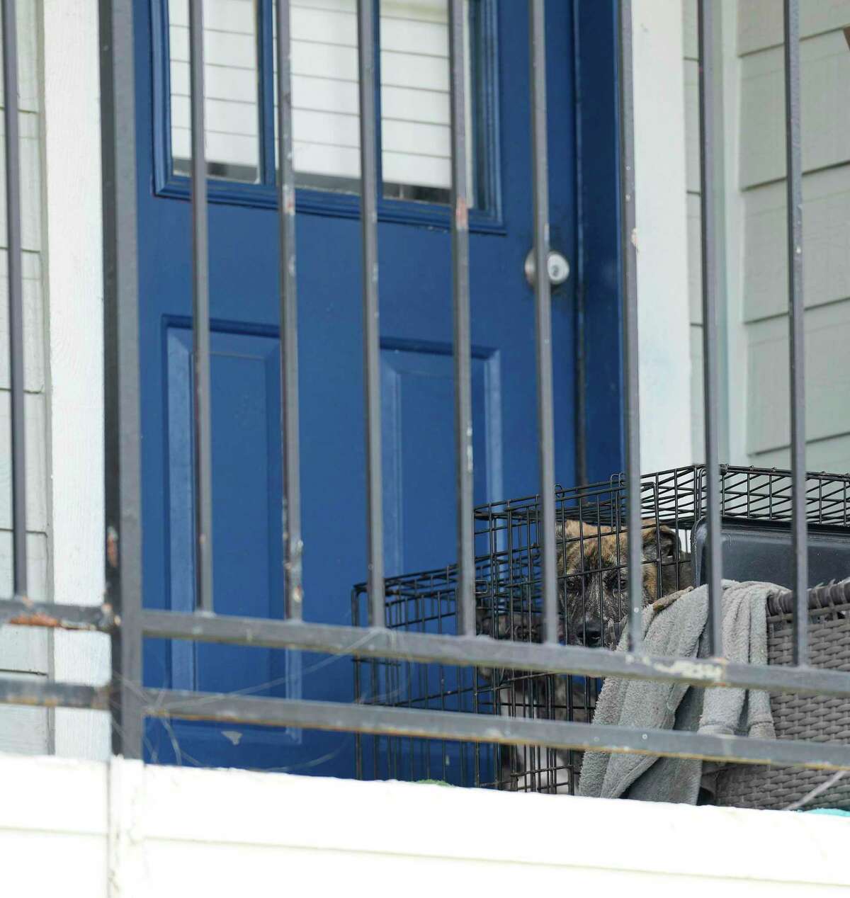Two dogs in crates on the back porch of an apartment on Hammerly Road on Wednesday, June 15, 2022 in Houston, as Houston SPCA Animal Cruelty investigators Octavio Gonzalez and Natalie Spellman check their welfare.