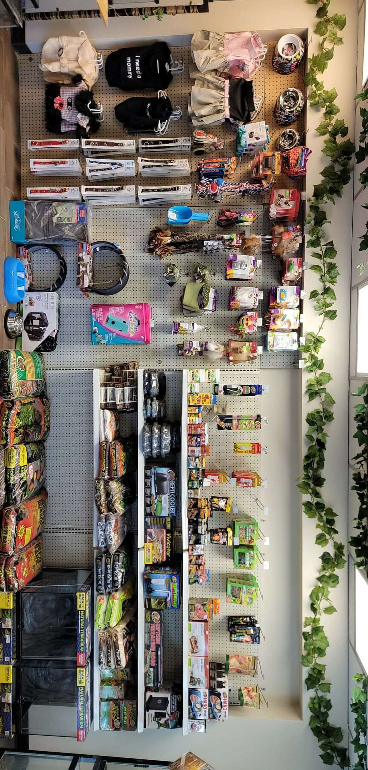Locallyowned pet store strives to bring new variety of pets