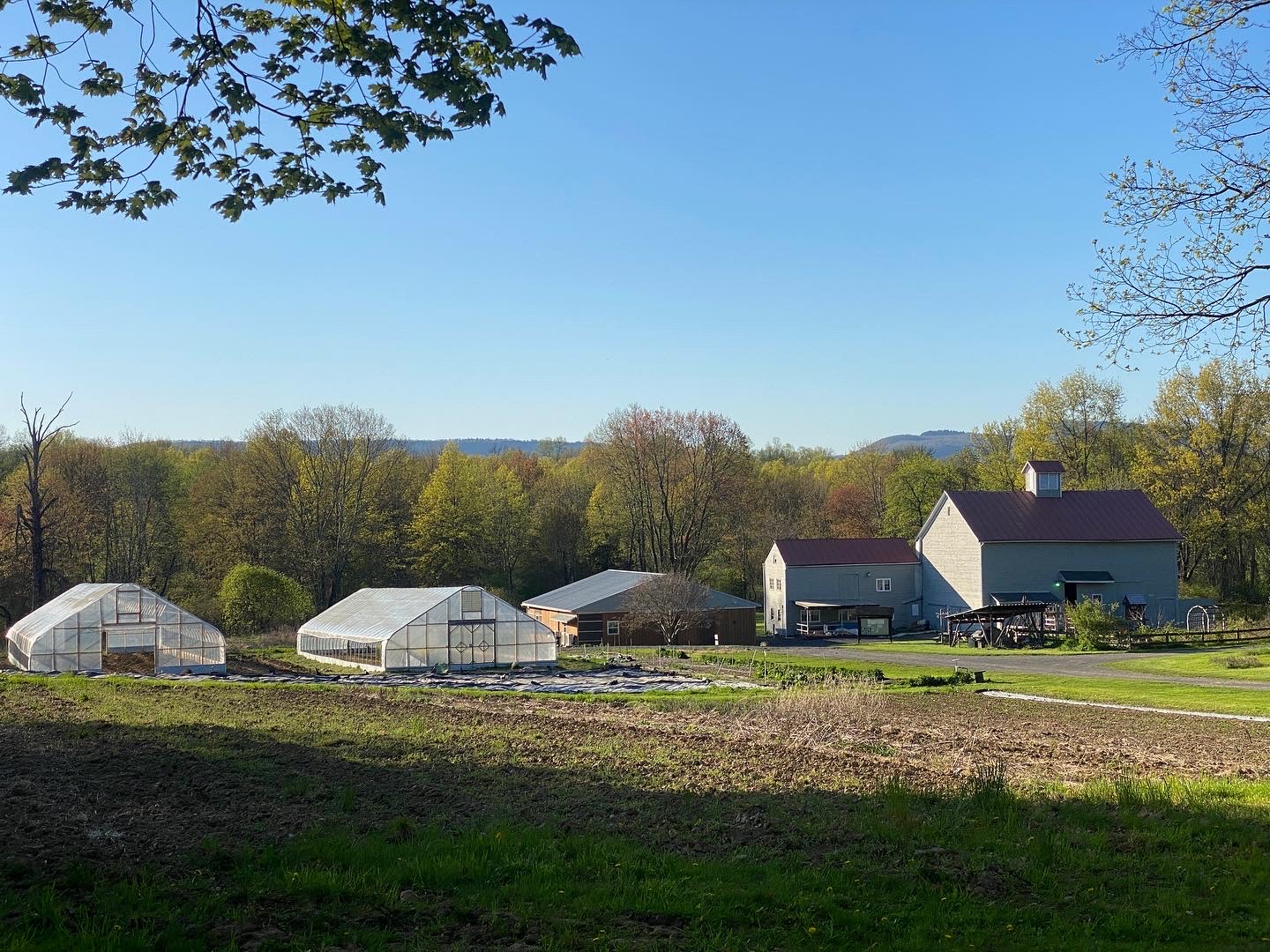 On-farm workshops emerge as this summer's thing - Vimarsana News