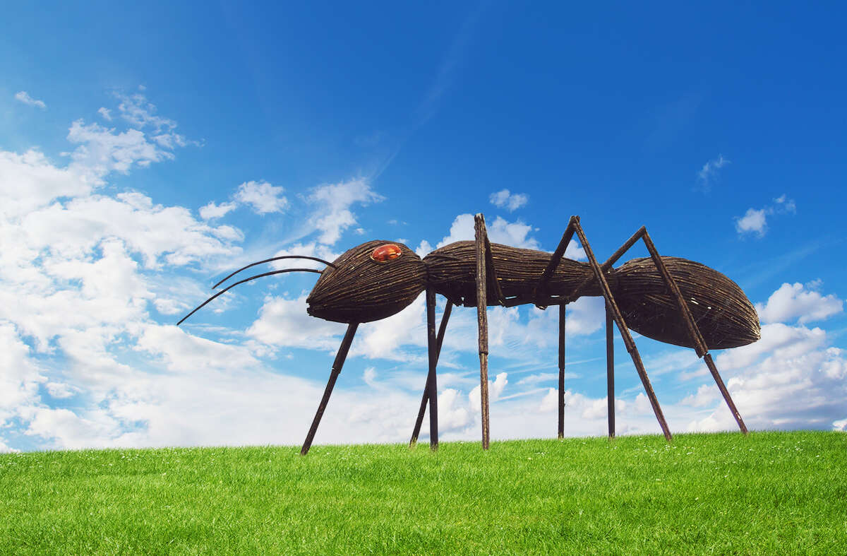 Larger than life sculptures of insects, including this ant, are part of David Rogers' Big Bugs exhibit. Dow Gardens will host Big Bugs from July 15 to Oct. 16.