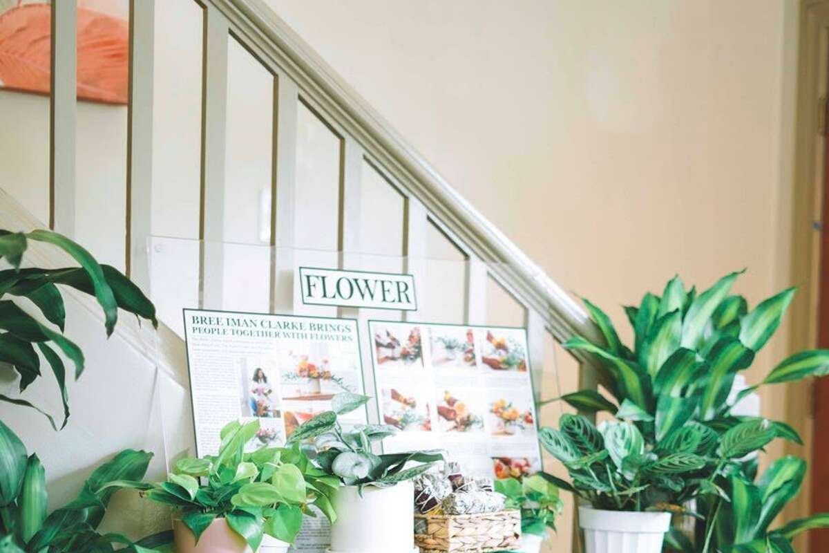 Bree Iman Clarke made history in 2020 as the first black woman-owned plant store in Dallas with The Plant Project.  A year later, she opened a location in her hometown of Houston, in the Montrose neighborhood, which is a lush space full of plants but still sports a warm atmosphere with a mix of bright colors and neutral-colored decor.
