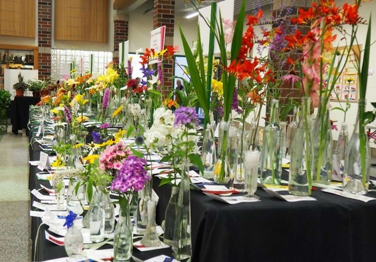 The Horticultural Division is the largest and most diverse division of the Portage Lake Garden Club Flower Show.