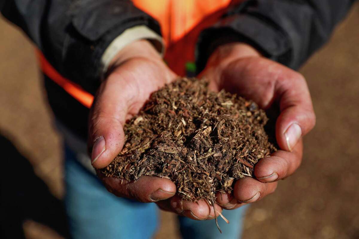Although mulch is not particularly glamorous, it can be your landscapes’ best friend. It can be used in a variety of locations to help with weed control and save water. Regardless of whether it you put it in a vegetable garden or a flower bed; mulch has a lot of benefits.