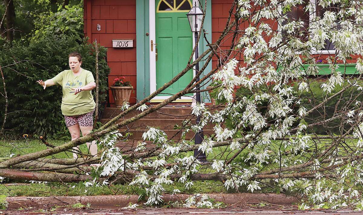 Tree+falls+on+Park+Ridge+home+during+heavy+storms+%E2%80%93+NBC+New+York