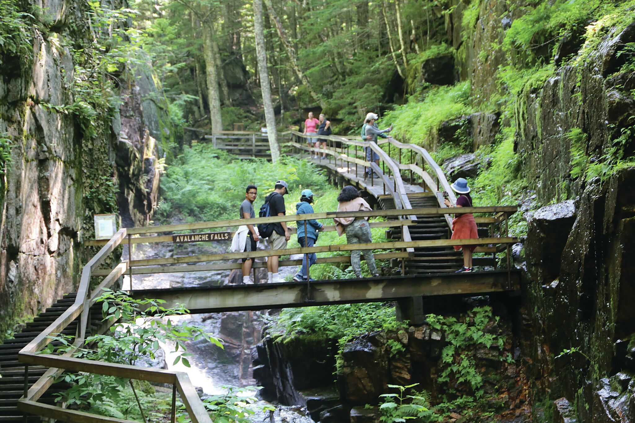 Access permits for trails getting popular in Adirondacks - Vimarsana News