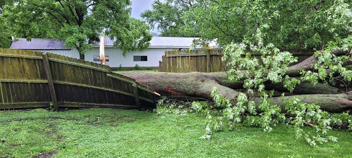 A fallen tree knocked over a fence in the backyard of a home owned by Kevin and Lisa Barber in Manchester.