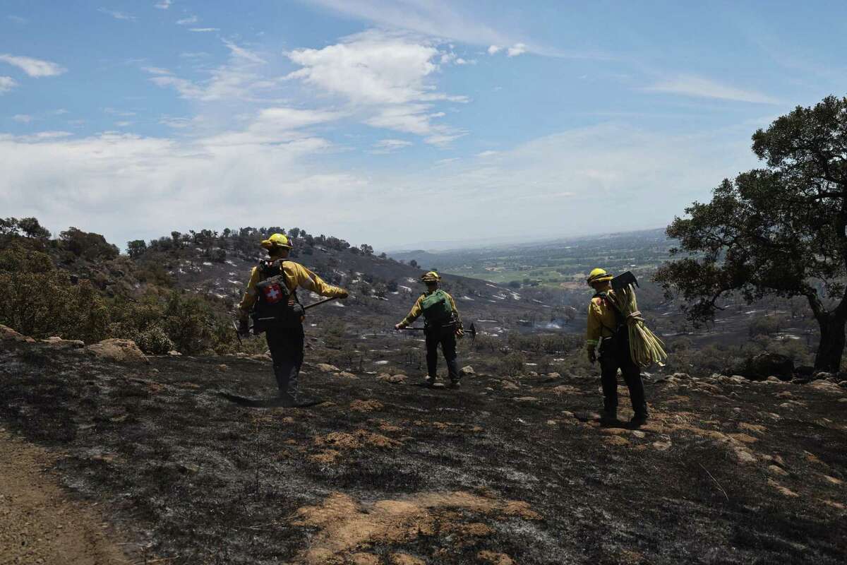 Fire risk is high on the eastern rim of the Napa Valley where St. Helena firefighters check on smoldering trees in Napa this month in the final days of the Old Fire.