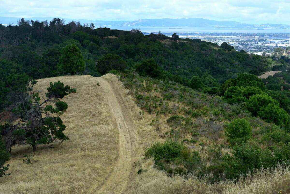 As part of fire prevention work, Oakland Fire Department crews will widen and smooth out this fire road at Knowland Park.