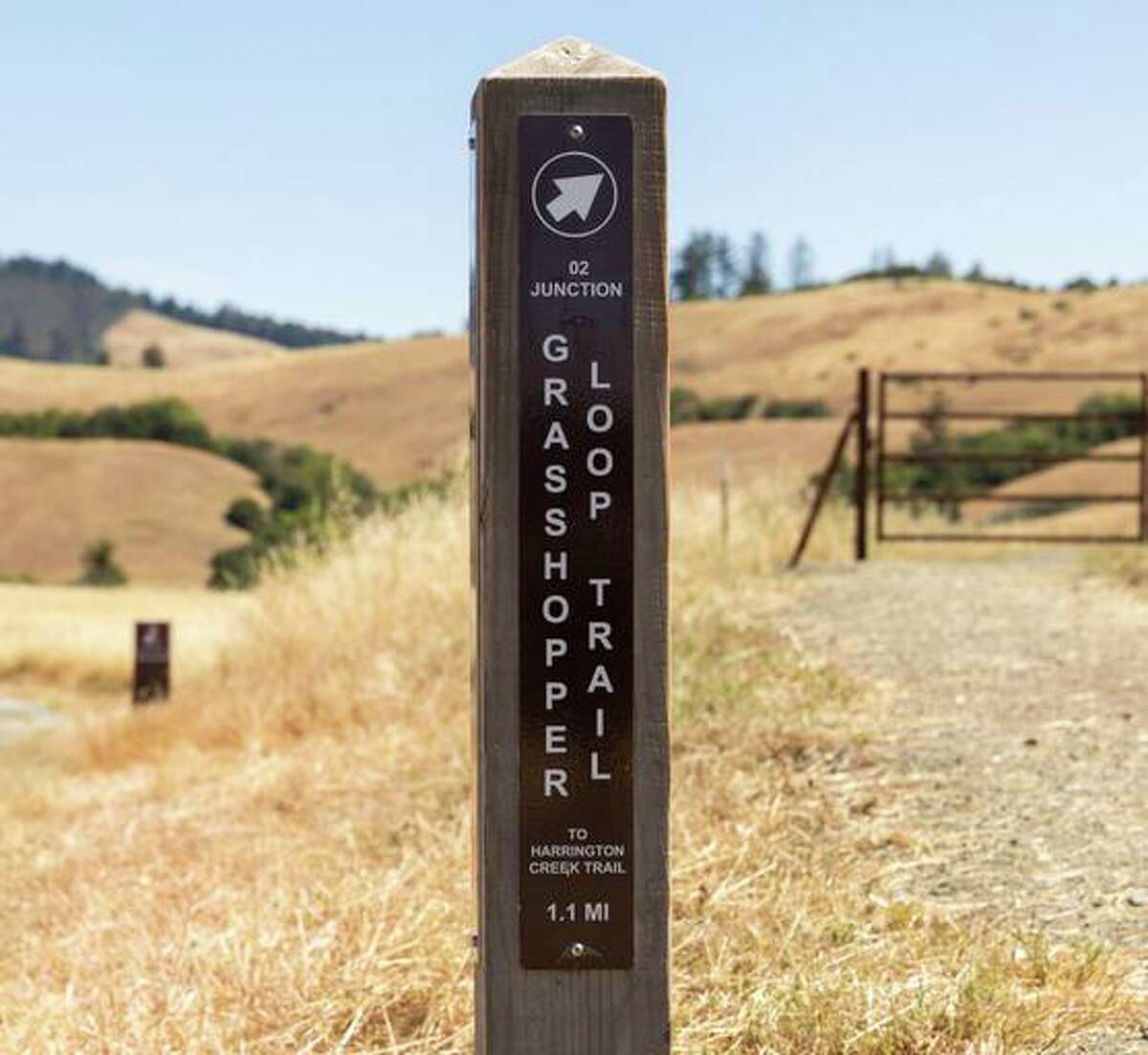 A post marks the newly constructed Grasshopper Trail, which weaves through the hills of La Honda Creek Open Space Preserve.