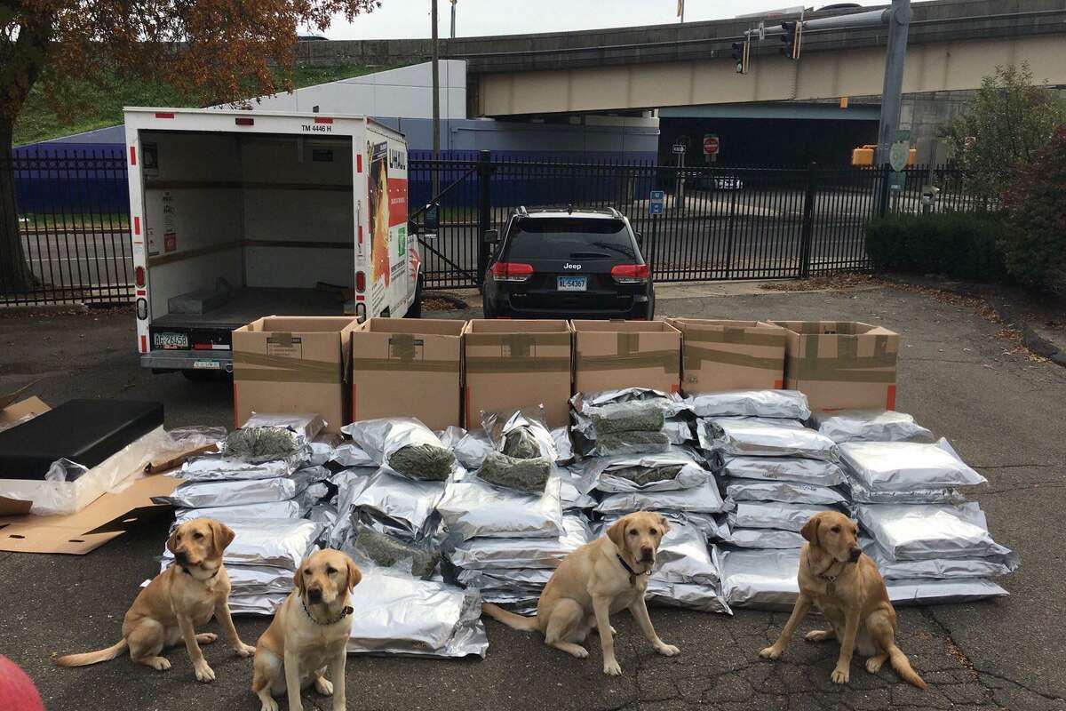 How COVID and CT's changed cannabis laws may have helped these two men busted with 420 pounds of weed avoid jail - Vimarsana News