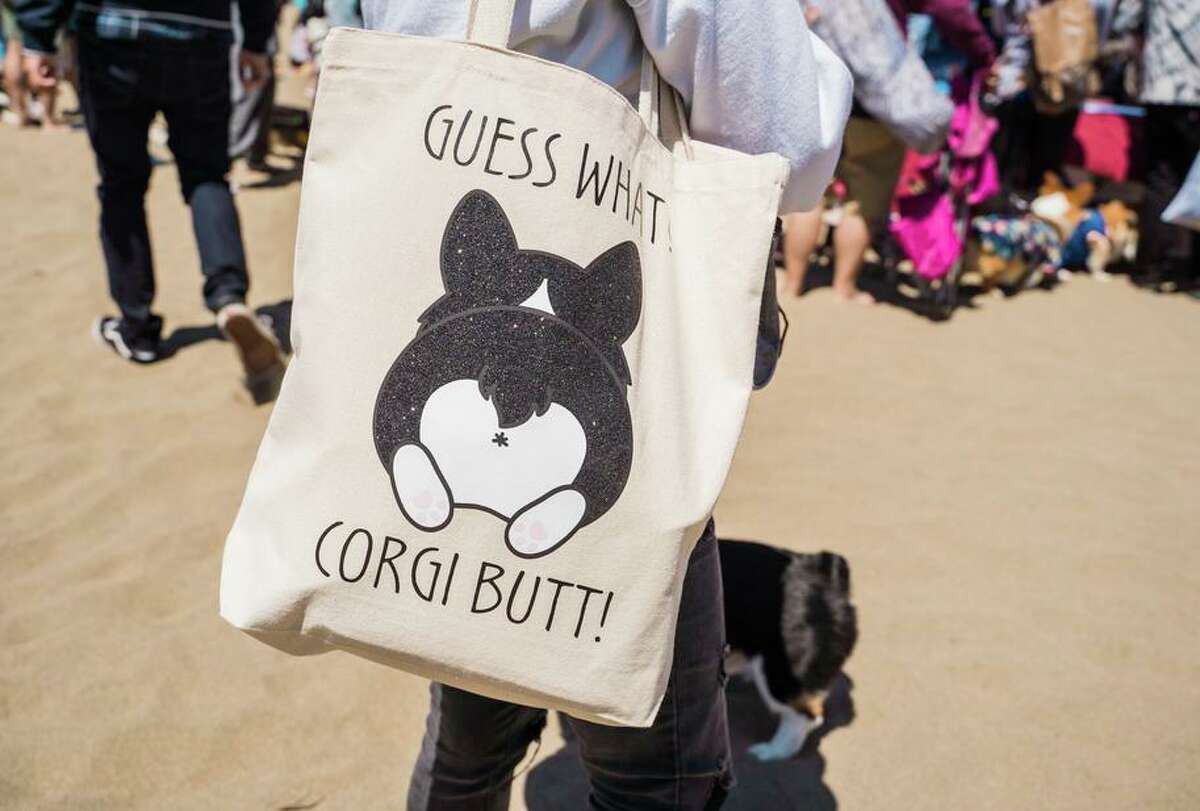An attendee at Corgi Con sports a corgi themed tote bag from Pretzel's Pupwear in San Francisco.