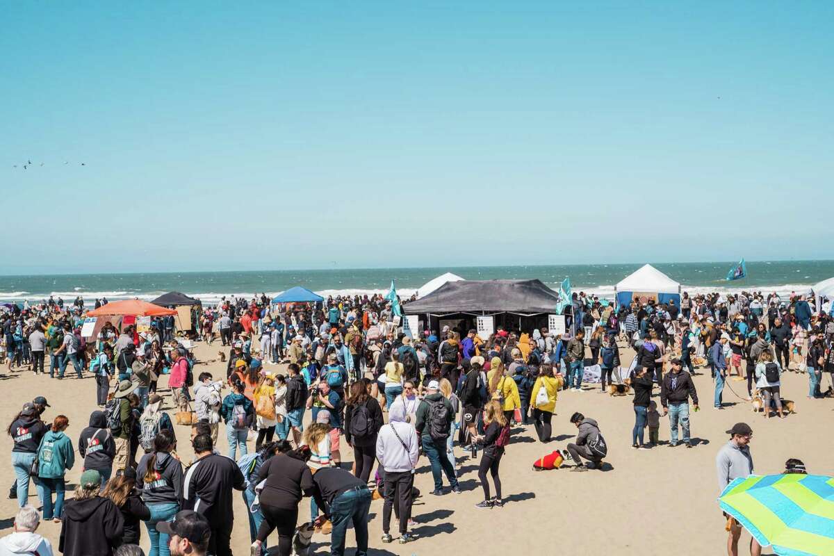 威尔士矮脚狗主人和爱好者聚集在威尔士矮脚狗反对举行海洋海滩在旧金山6月18日,2022年。
