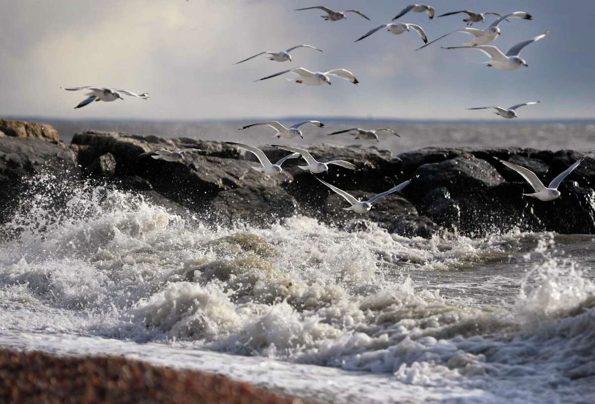 Seagulls fly into a powerful wind to hover above the crashing waves at Long Beach in Stratford, Conn. on Thursday January 16, 2020.