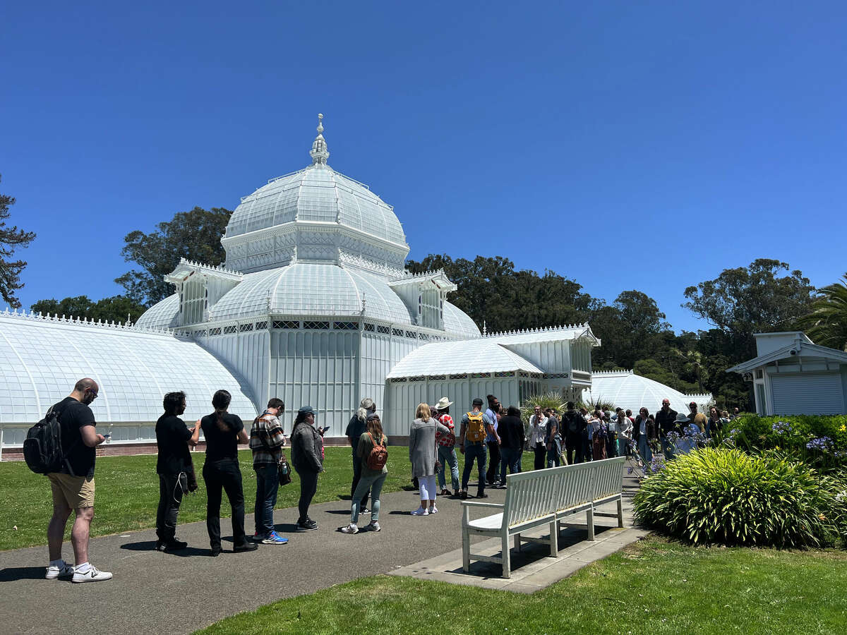 People lined up for hours to see a corpse flower in bloom at the Conservatory of Flowers on June 18, 2022. 