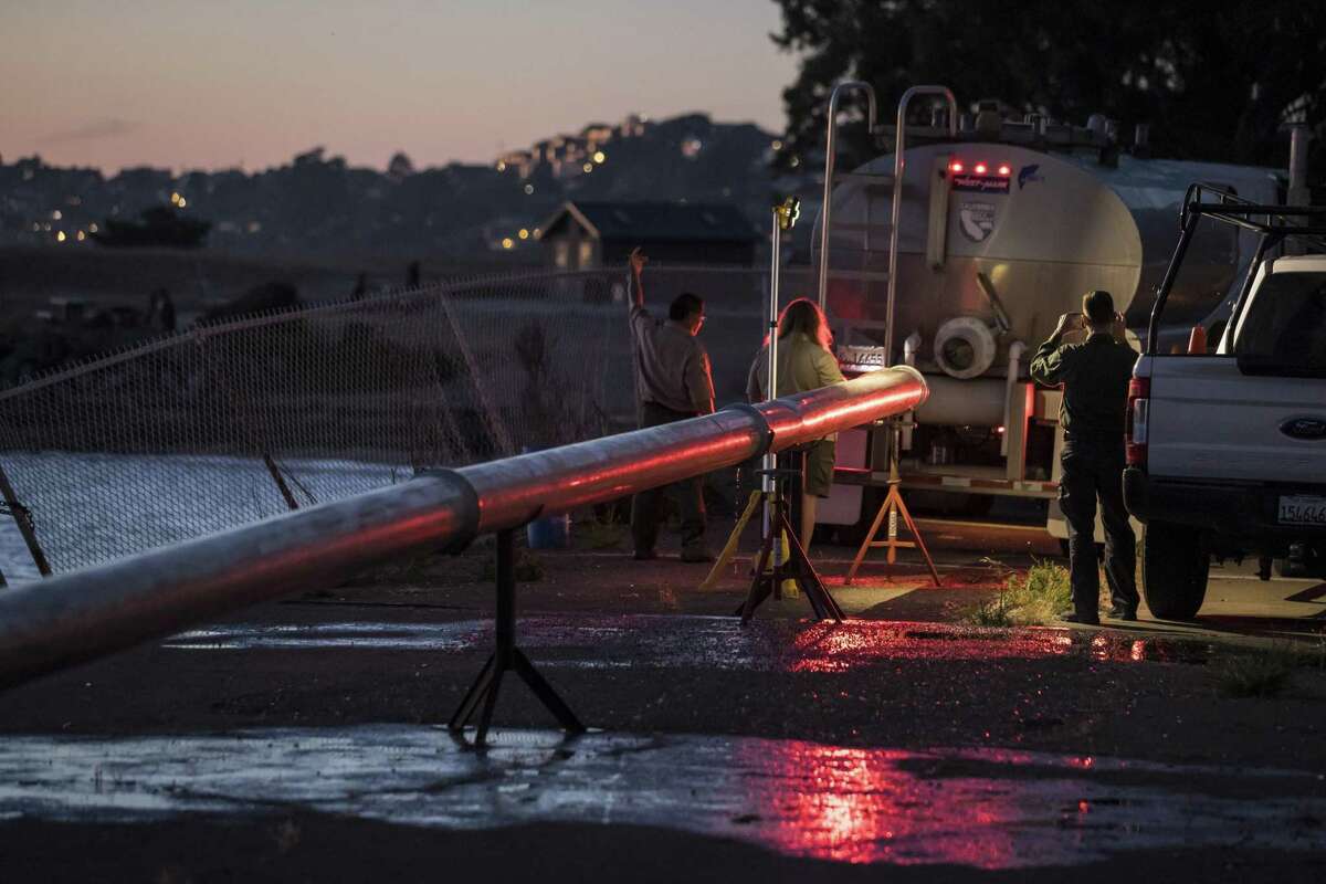 Workers with the California Department of Fish and Wildlife hook up a tanker truck full of baby salmon to a pipe that will send them into San Francisco Bay at the Richmond Marina. The project saved the baby fish from the risk of perishing in drought-stricken rivers they would have had to navigate.