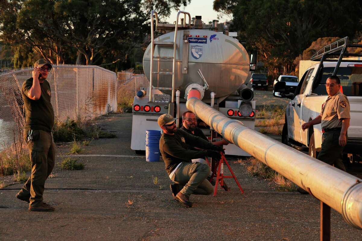 Workers with the California Department of Fish and Wildlife hook up a tanker truck filled with baby salmon to a pipe, enabling their release at the Richmond Marina.
