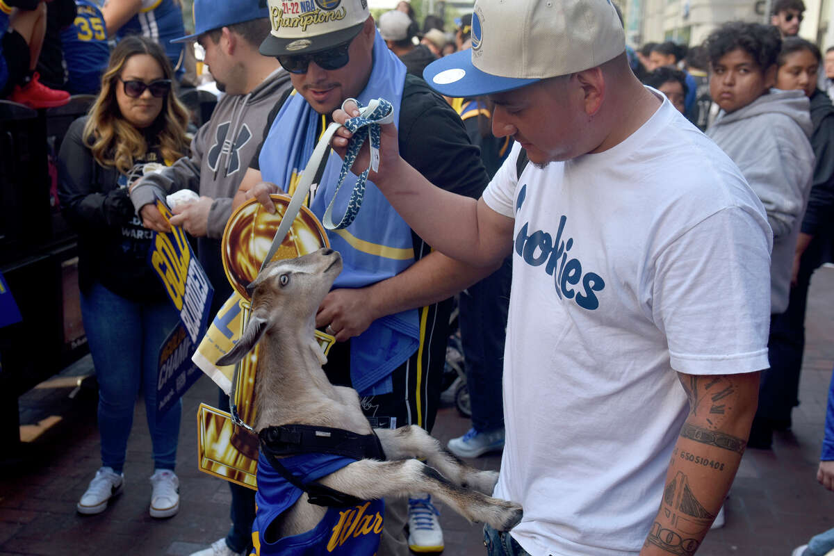 Javier Caldera of Hayward brought his goat, Curry, to the Warriors victory parade on Market Street. 