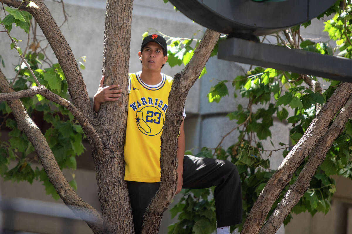 A fan climbs a tree to watch the action during the Golden State Warriors Championship parade on Market Street in San Francisco, Calif.  on June 20, 2022.