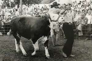 Throwback: Snapshots of past 4-H events