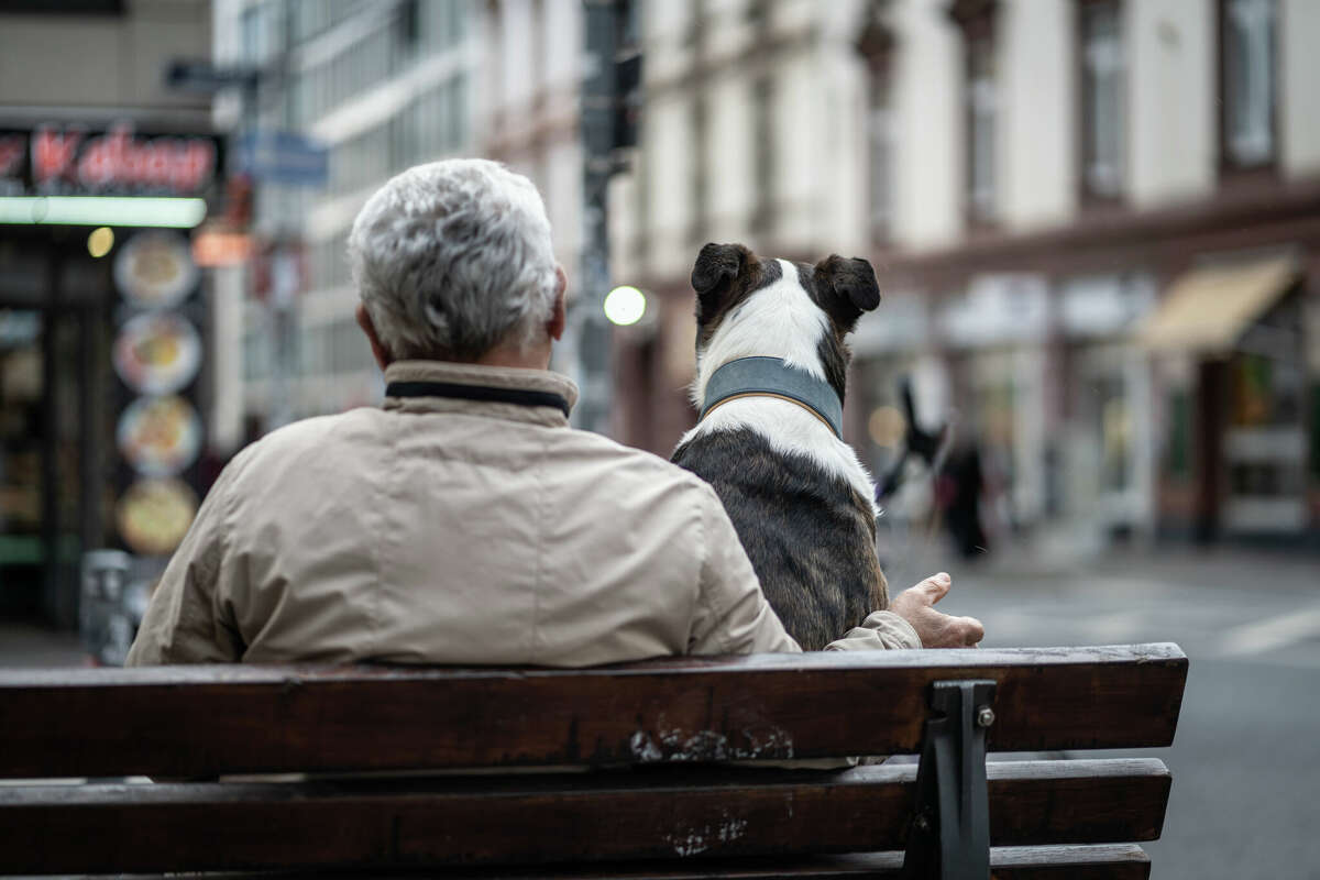 An older man and a dog sit together on a bench at the edge of downtown. Older men who attempt suicide have higher lethality because they plan it out, according to Chris Baeumler, crisis team supervisor for Central Michigan Health.