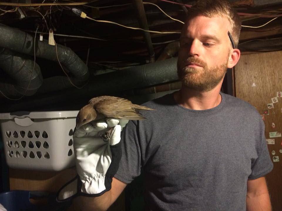 On the job: A day in the life of a wildlife solutions expert - Vimarsana News