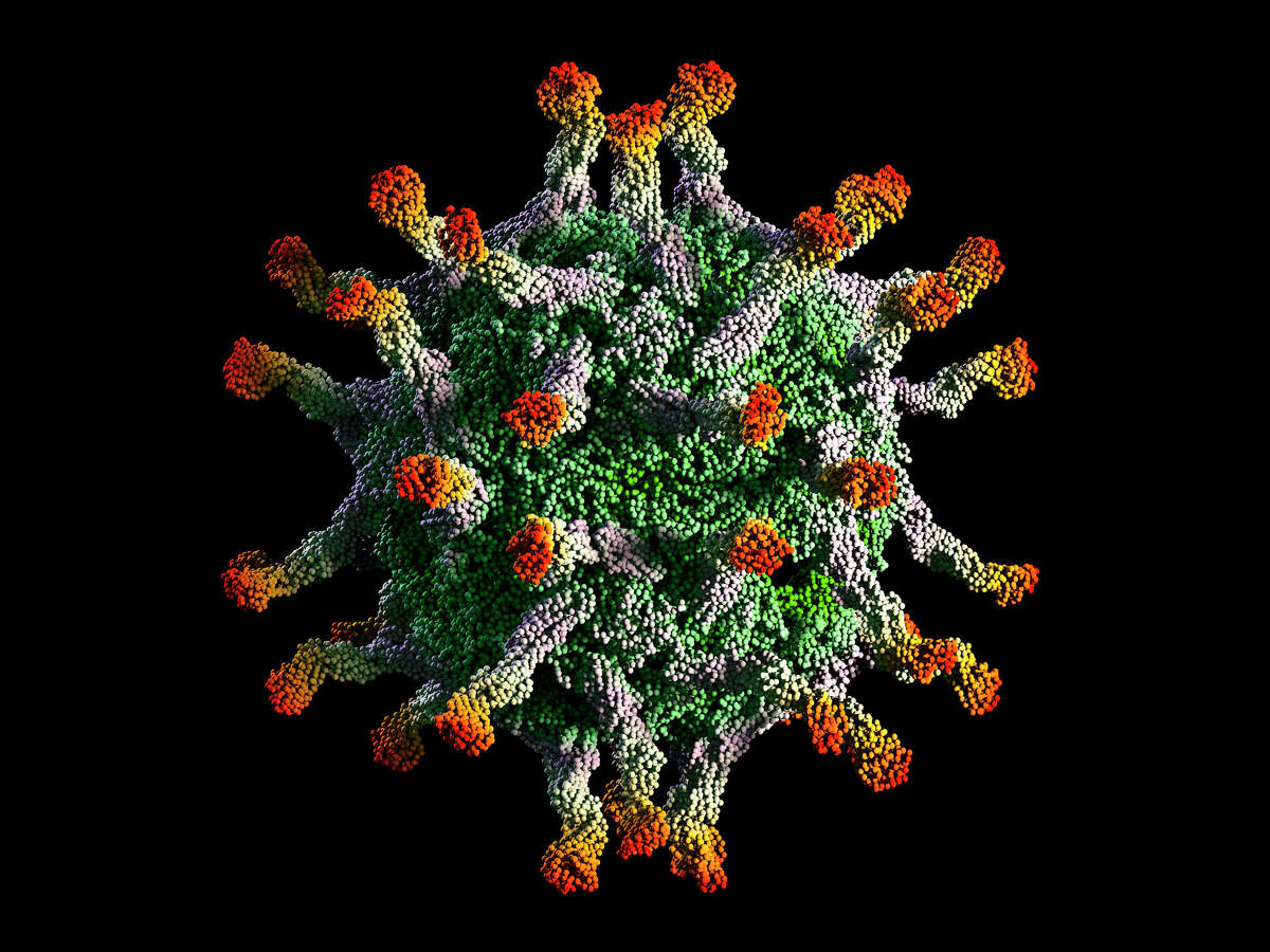 Model of a polio virus capsid (the green spherical organism) binding to polio virus receptors (the protruding multicoloured molecules). Isolated on black.