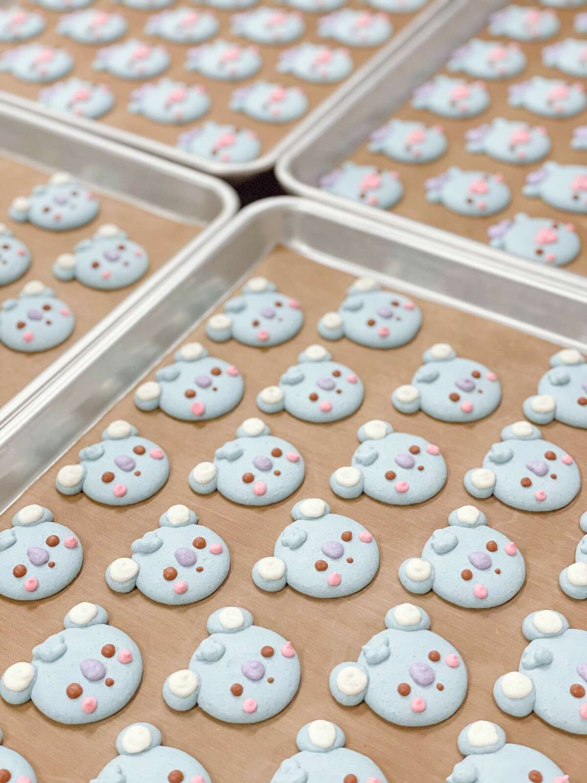 Koala macarons from Ooyoo Pan.