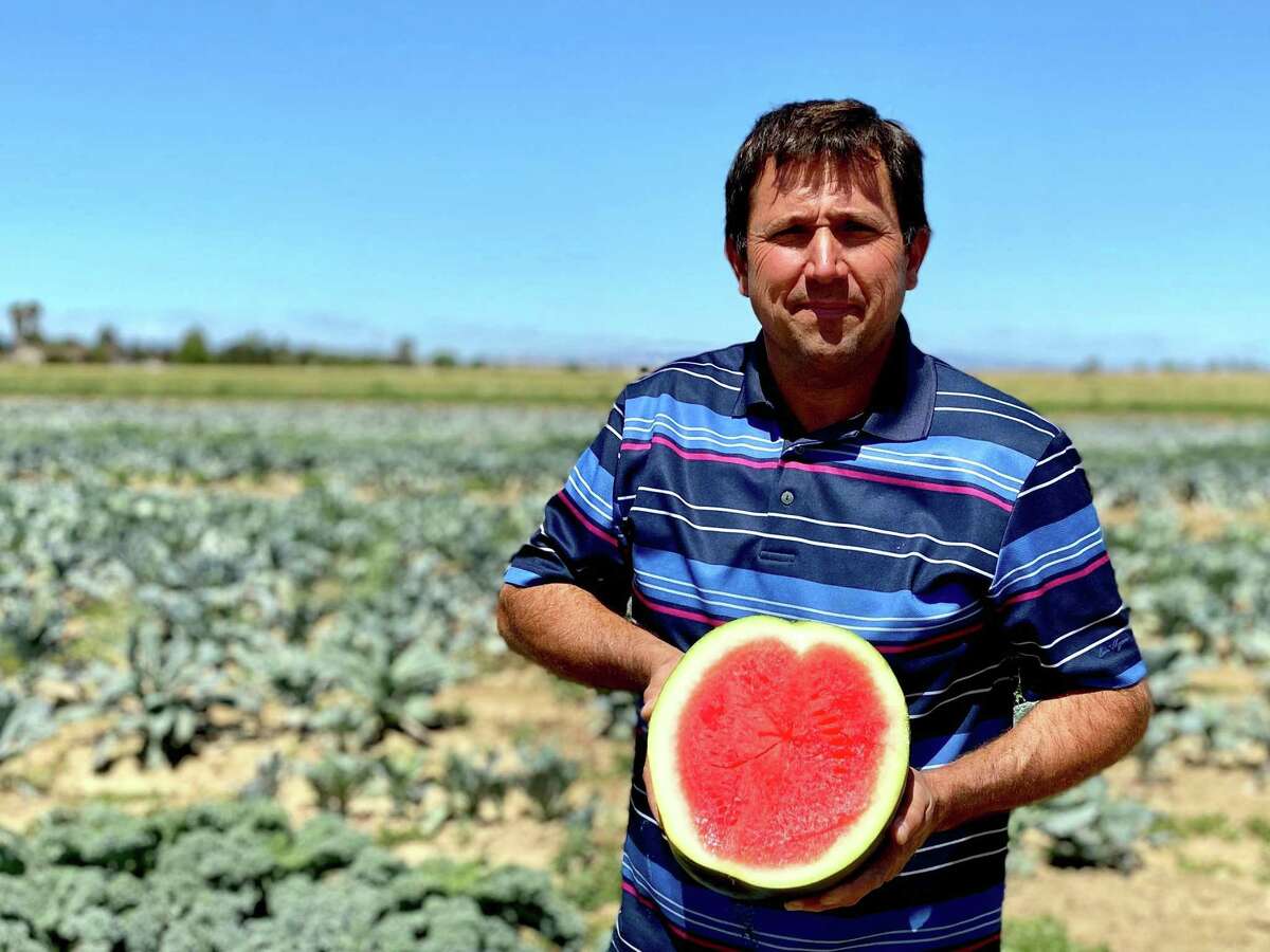 David Vierra shows off a black seedless watermelon, grown at Vierra Farms in West Sacramento.