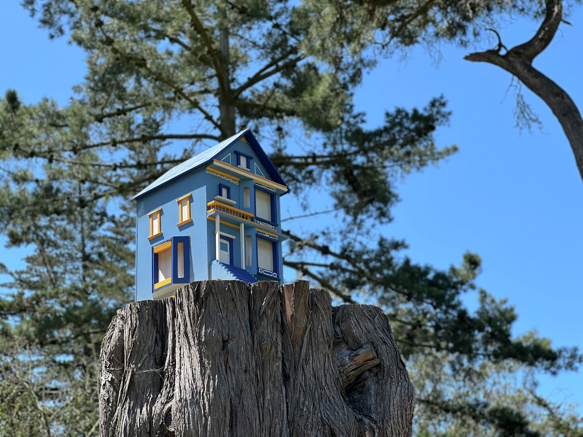 Mini Victorian home in SF's Golden Gate Park is a mystery