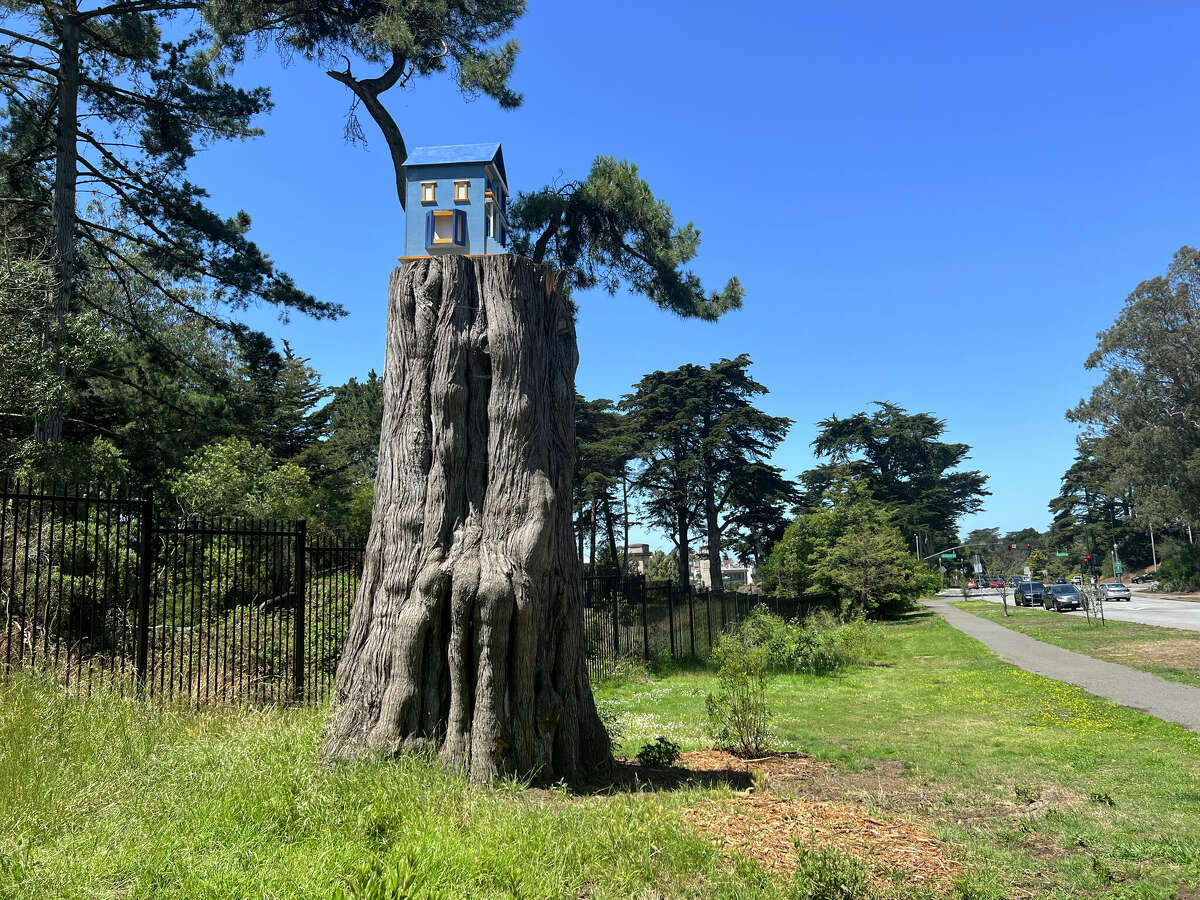 Park officials are puzzled but fascinated by a miniature Victorian house that has recently appeared in Golden Gate Park.
