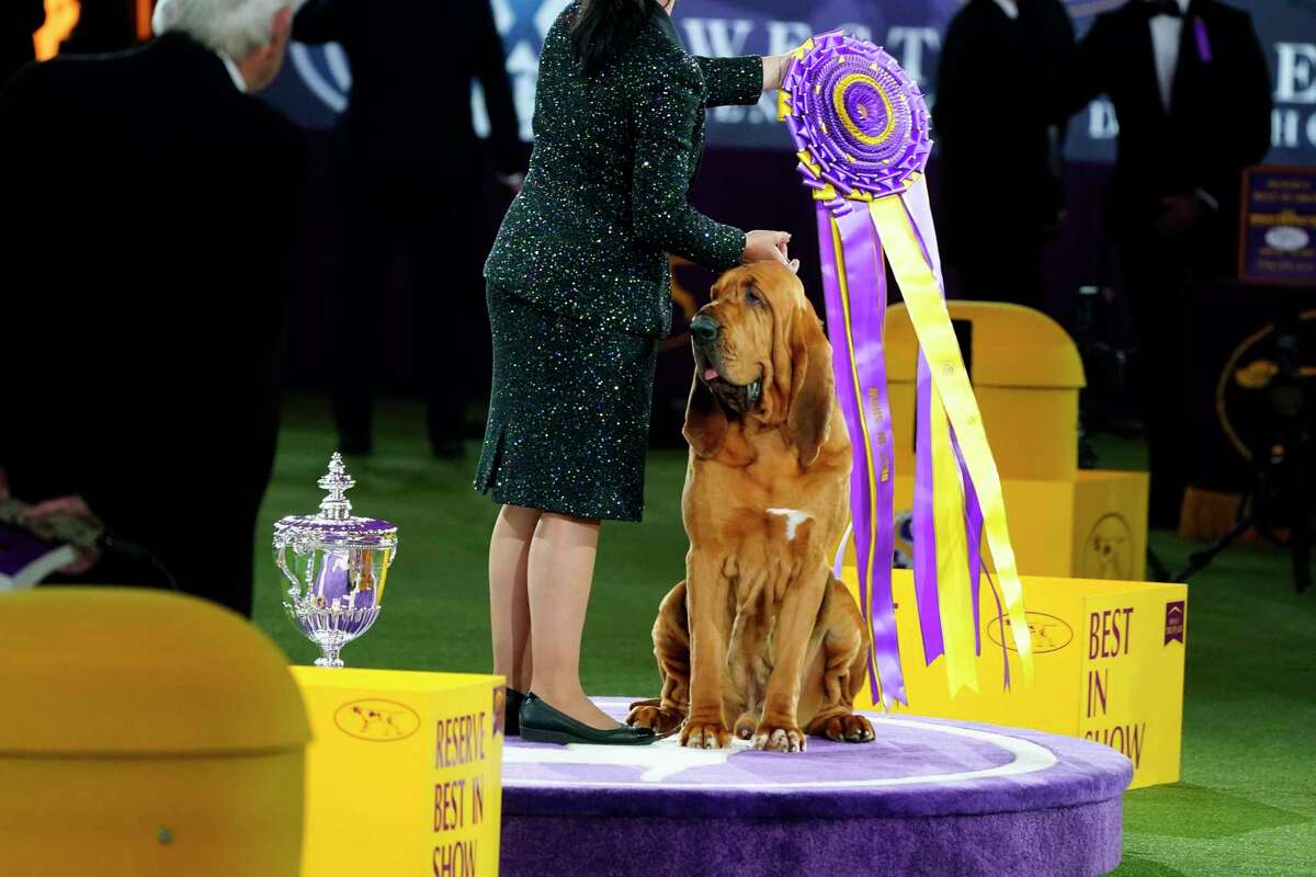2011 Westminster Kennel Club Dog Show