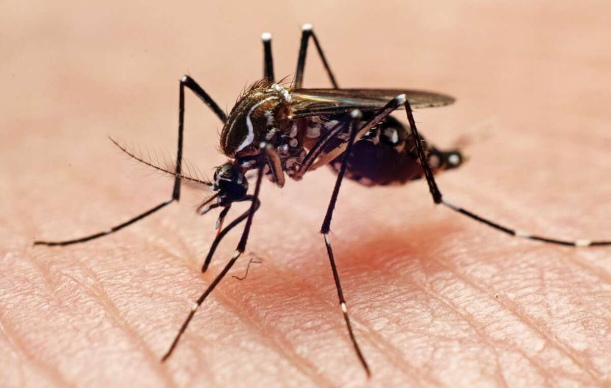 Illinois officials are cautioning residents to be alert for West Nile Virus spread by mosquitoes.