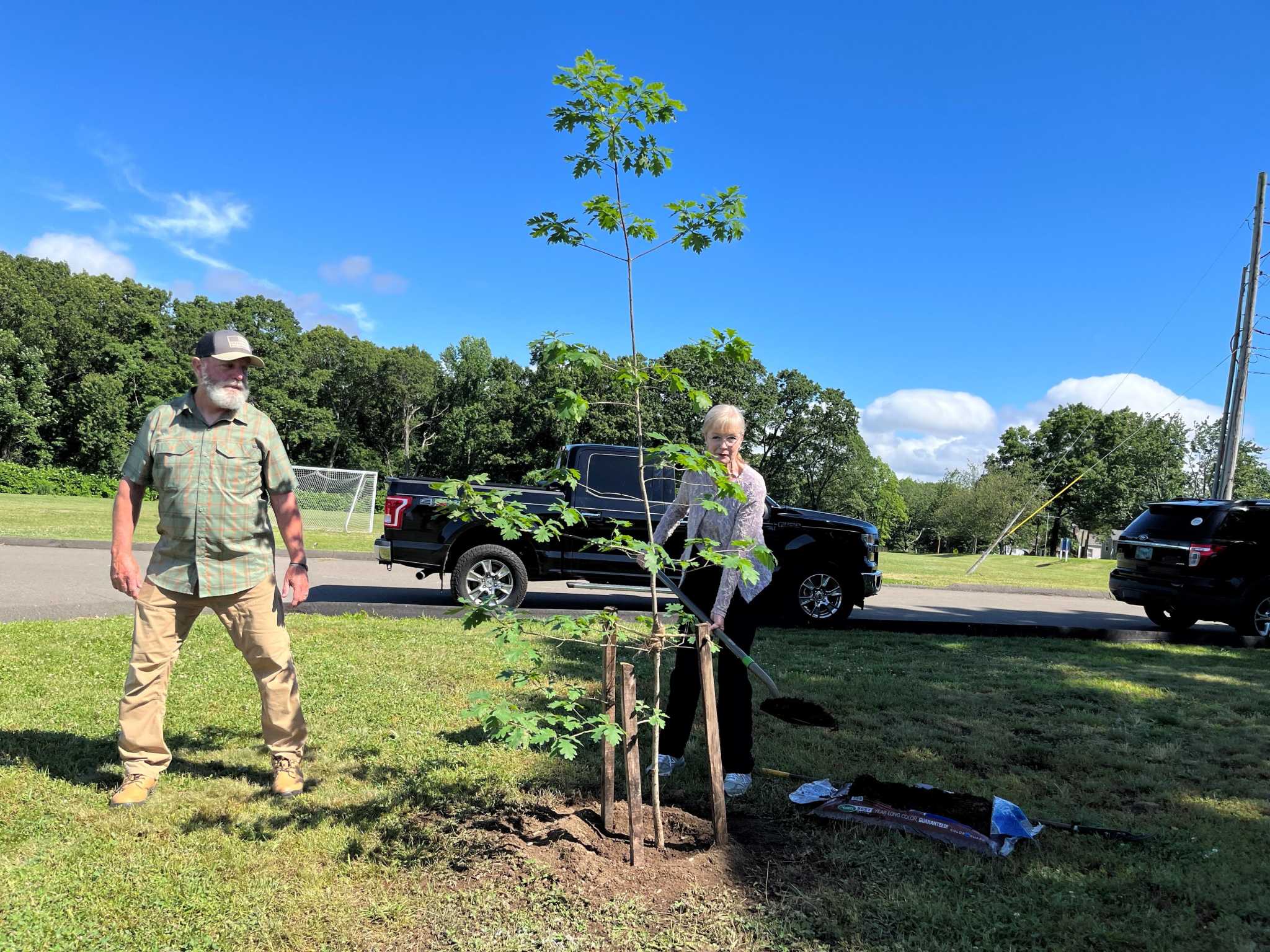 West Haven celebrates Arbor Day in June with ‘flagship tree’