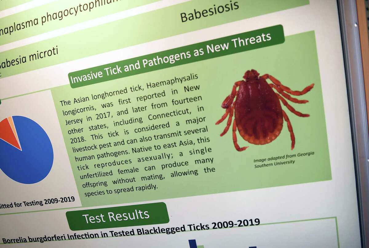A poster show the Asian longhorned tick at the Connecticut Agricultural Experiment Station in New Haven on July 24, 2020.