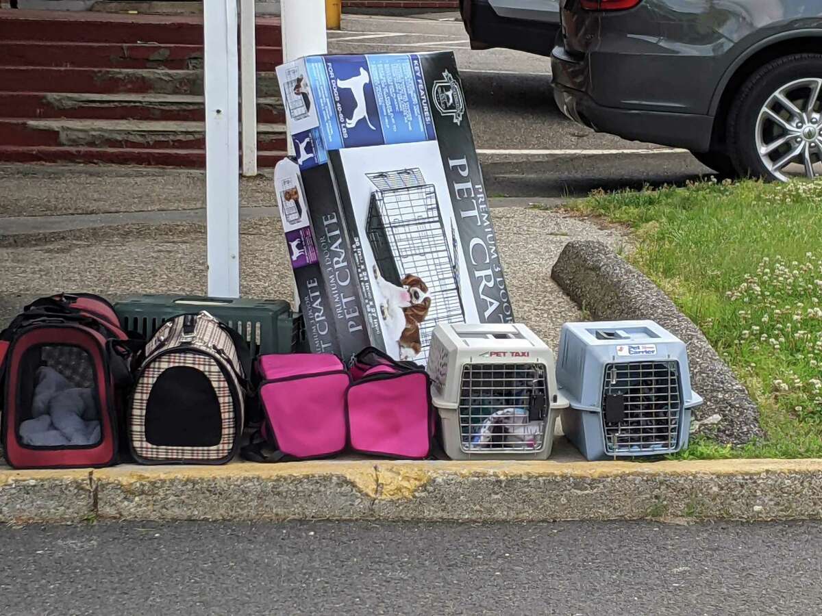 Concerned residents left a collection of donated pet carriers to help town officials rescue cats from a hoarding situation in a home on Moore Avenue in Winsted.