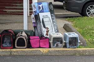 Winsted residents, officials step in to rescue hoarded pets