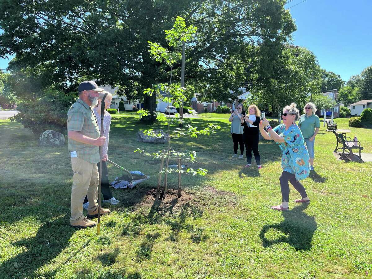 Volunteer tree tender Claire Zoghb takes a photo of Mayor Nancy Rossi and Tree Warden Leo Kelly on June 23, 2022 as they pose with a white oak tree that Zoghb and other volunteers had planted the day prior.