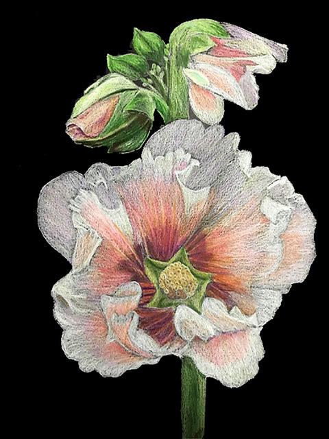Hunt Library features art of Gail Jacobson in new show - Vimarsana News