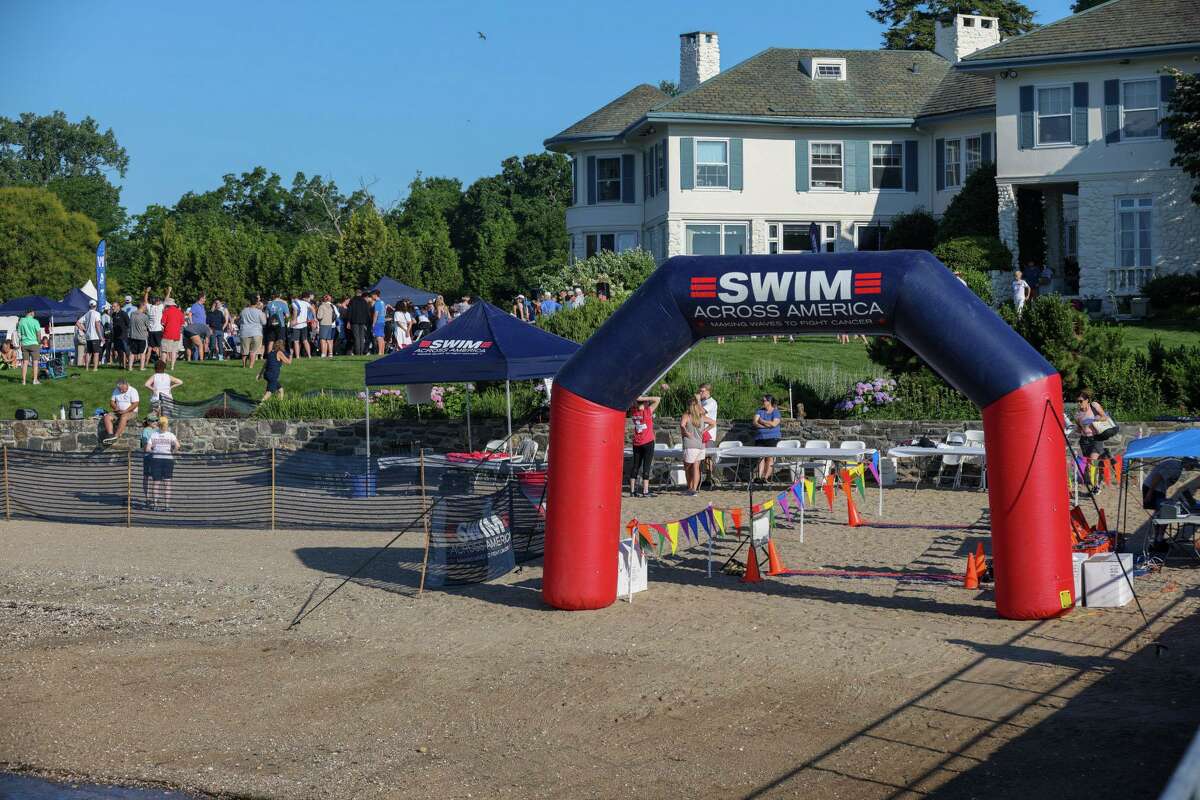 In Photos Swim Across America Plunge In Stamford Attracts All Ages To Benefit Cancer Research