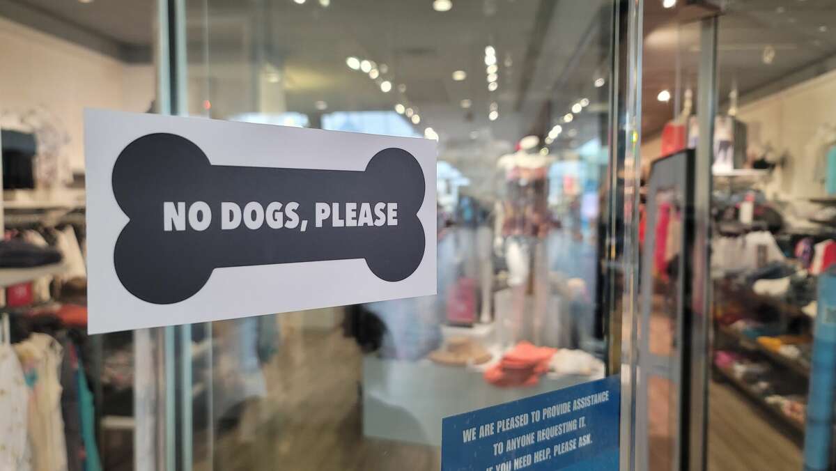 Dogs are now welcome inside about 30 stores at Colonie Center.