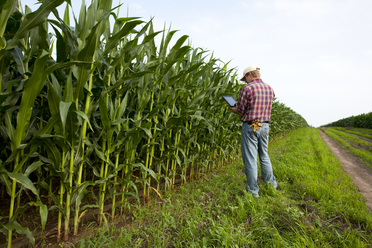 Farm Credit manager Metz retiring after almost 40 years - Vimarsana News