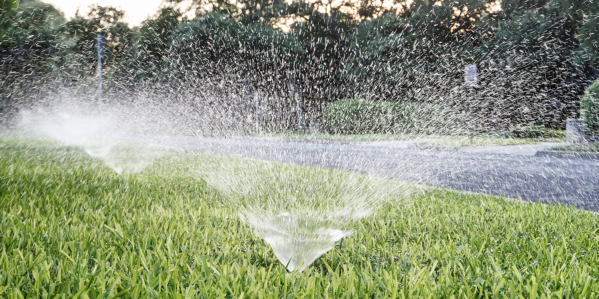 SAWS restrictions include specific watering times for customers