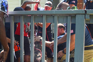 Jacksonville firefighters rescue pup from precarious place after it falls into cistern