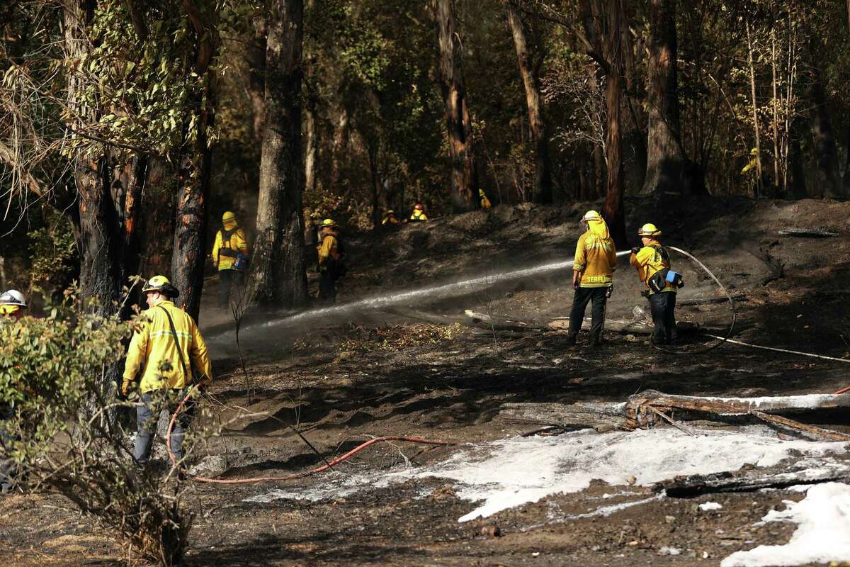 Firefighters extinguish hot spots after the Cleveland Fire burned vegetation on Albany Hill in Albany, Calif., on Sunday, June 26, 2022.
