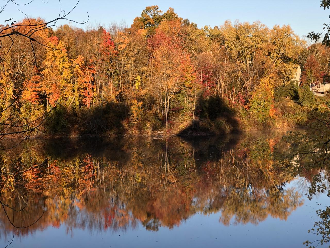 Could Middletown pond be replaced with a park? The idea has some residents concerned. - Vimarsana News