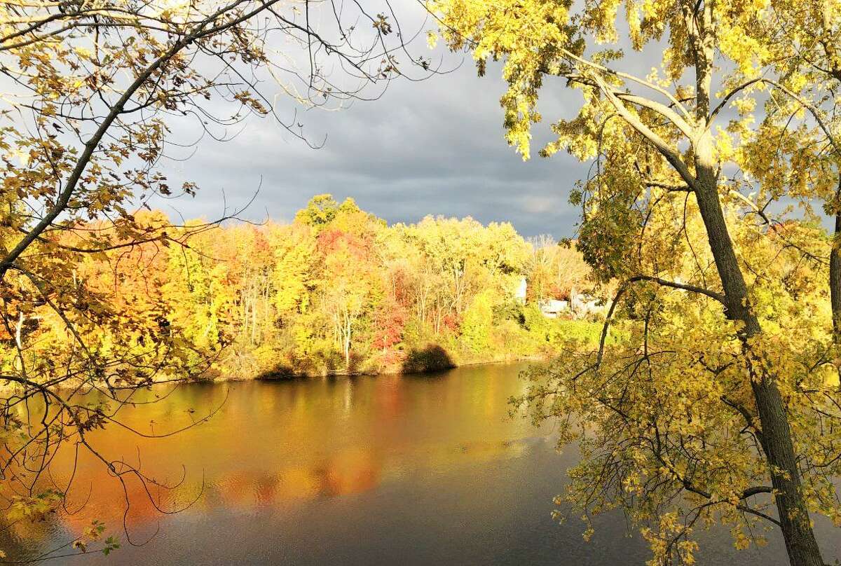 Could Middletown pond be replaced with a park? The idea has some