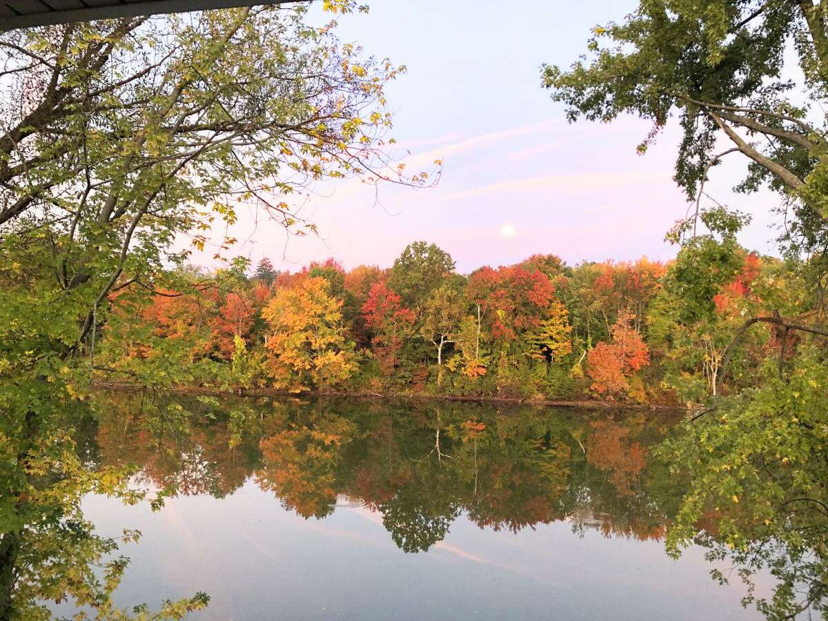 Could Middletown pond be replaced with a park? The idea has some