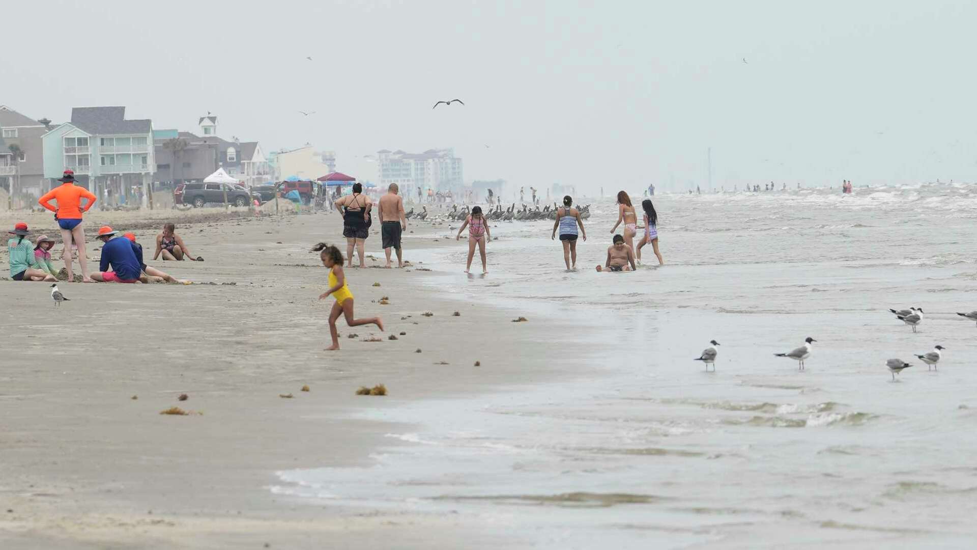 Galveston Island State Park